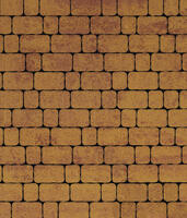  Тротуарная плитка Выбор Арена Б.1.АР.6 Листопад Каир: внешний вид